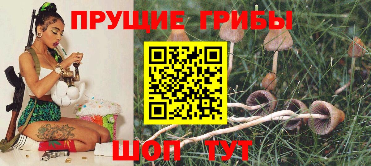 Псилоцибиновые грибы Psilocybe  где купить   Серпухов  Вход с VPN  Псилоцибиновые грибы Cubensis 